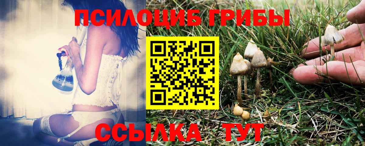 Псилоцибиновые грибы мицелий Буйнакск